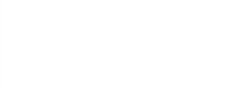 NetBrain supporting icon