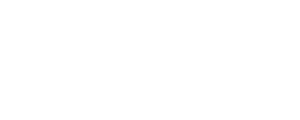 tesla-1-300x120-1
